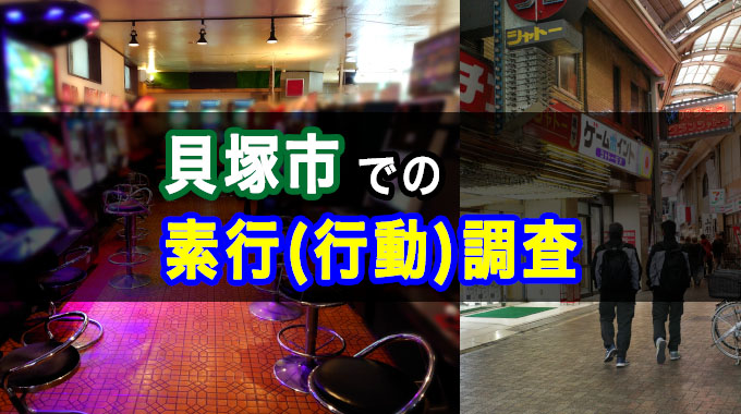貝塚市での素行（行動）調査