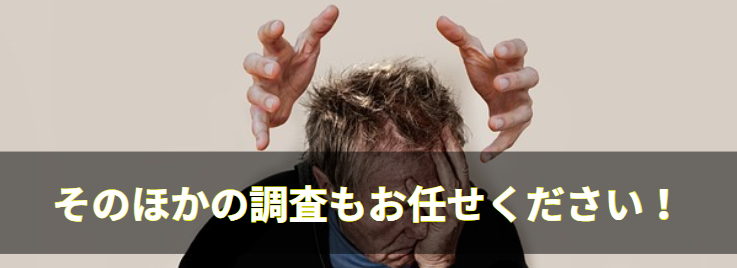 そのほかの調査もお任せください！