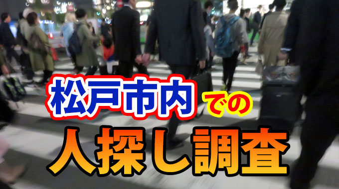松戸市での調査