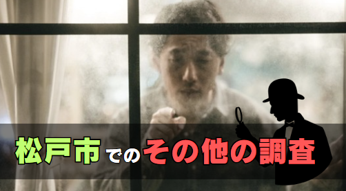 松戸市でのその他の調査
