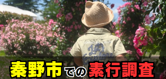 秦野市での素行・行動調査