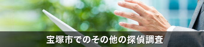 宝塚市でのその他の探偵調査