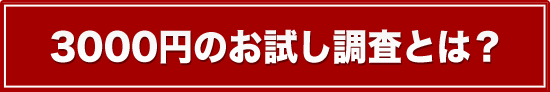 3000円のお試し調査とは？