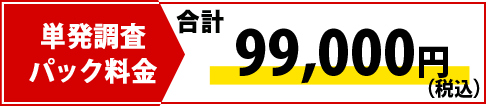 単発調査 セット料金99,000円(税込)