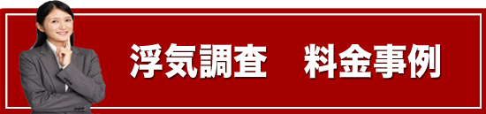 浮気料金事例